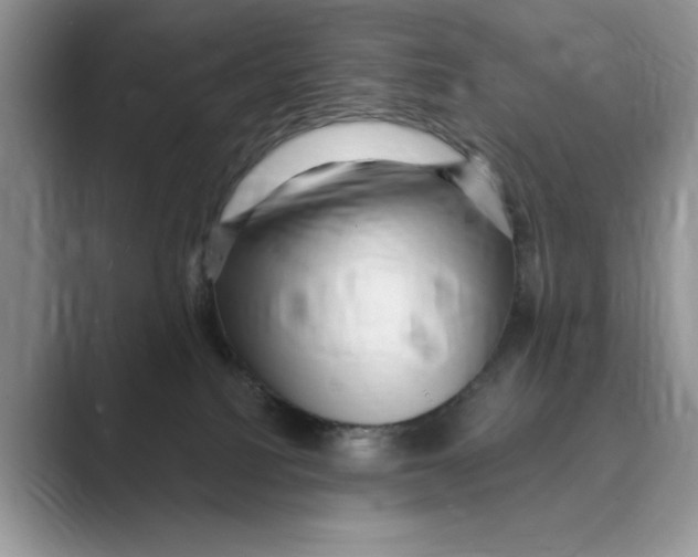 X0000088850088200707061040