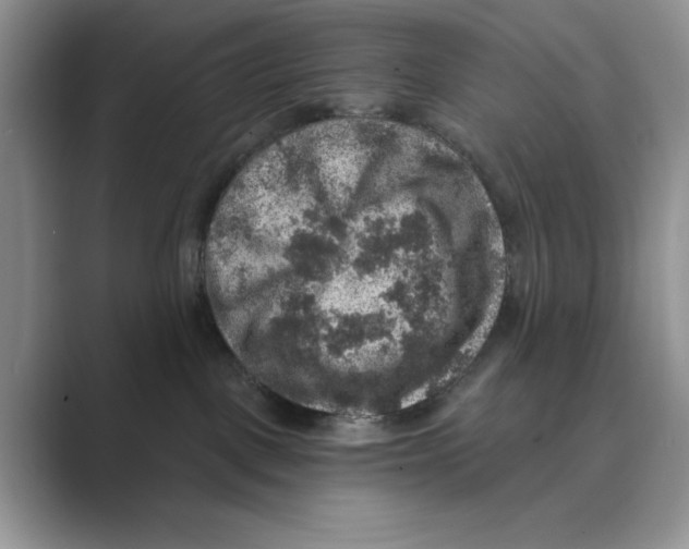 X0000088850093200707061041