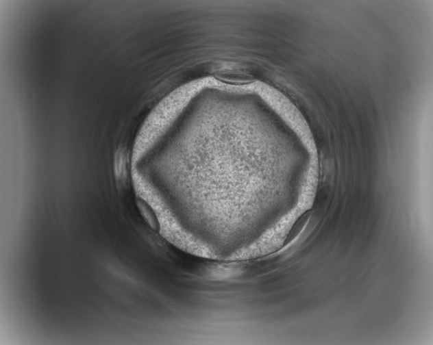 X0000088850094200707061041
