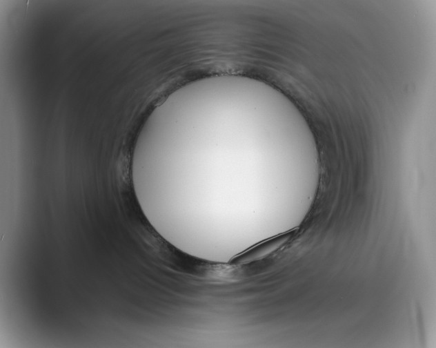 X0000088850096200707061041