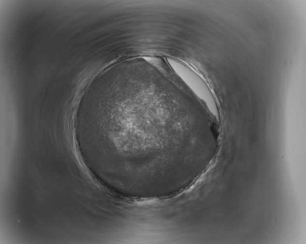 X0000088850097200707061040