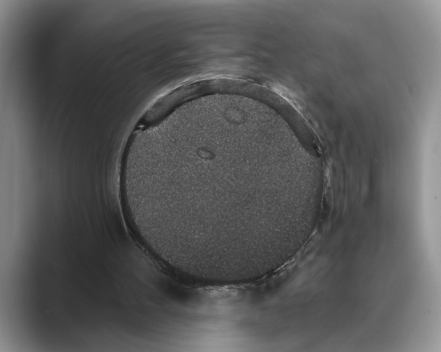 X0000088850100200707061040