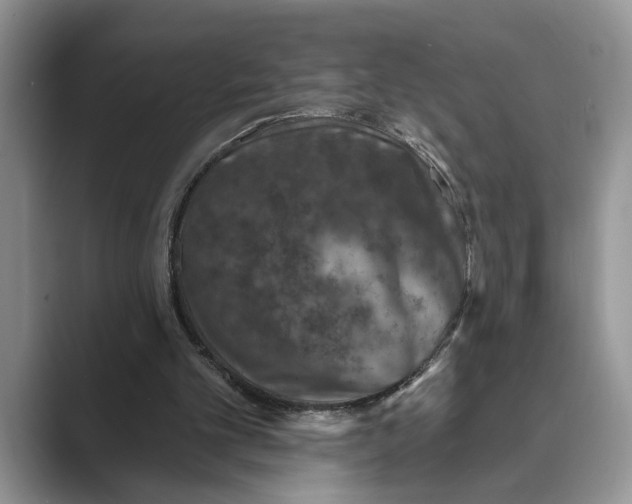 X0000088850101200707061040
