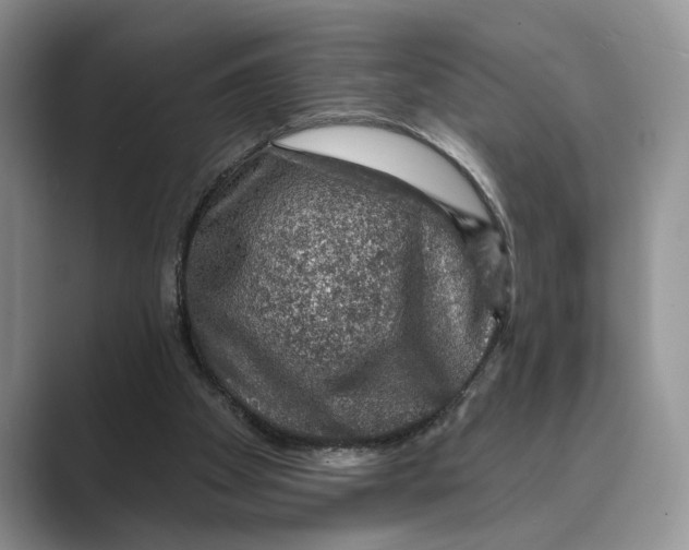 X0000088850105200707061040