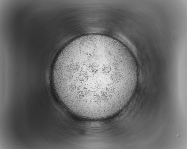 X0000088850107200707061040