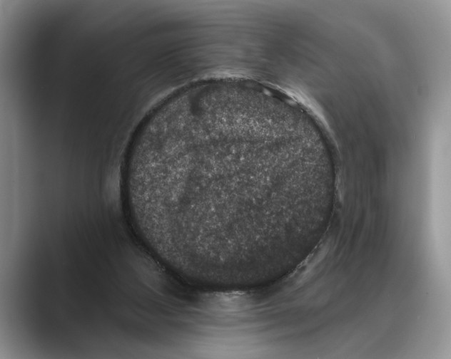 X0000088850108200707061040