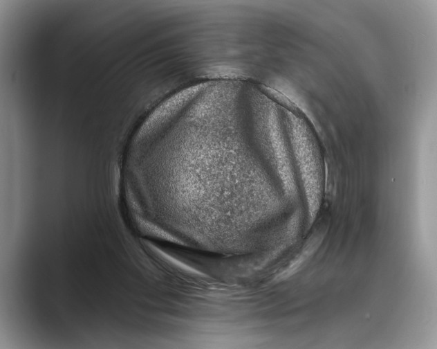X0000088850109200707061040