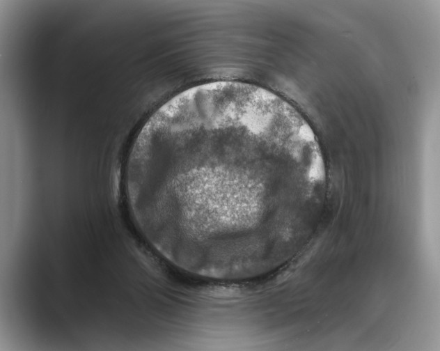 X0000088850110200707061040