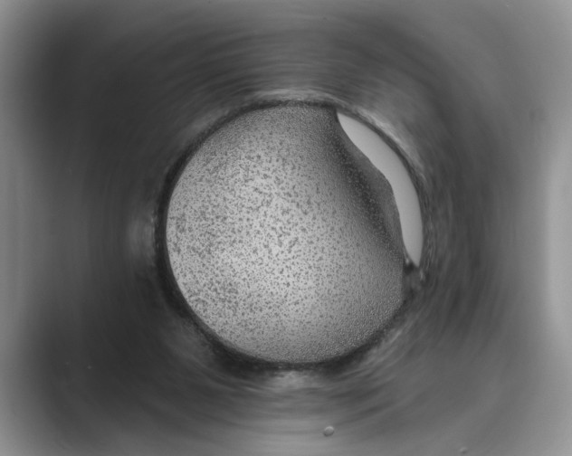 X0000088850111200707061040