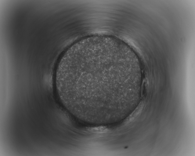X0000088850112200707061040