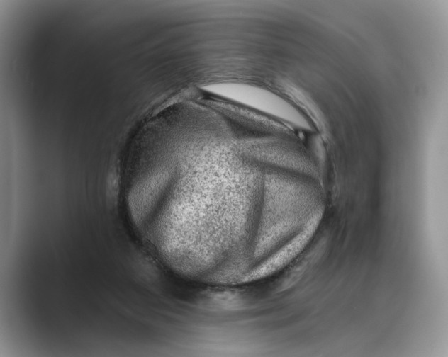 X0000088850113200707061040