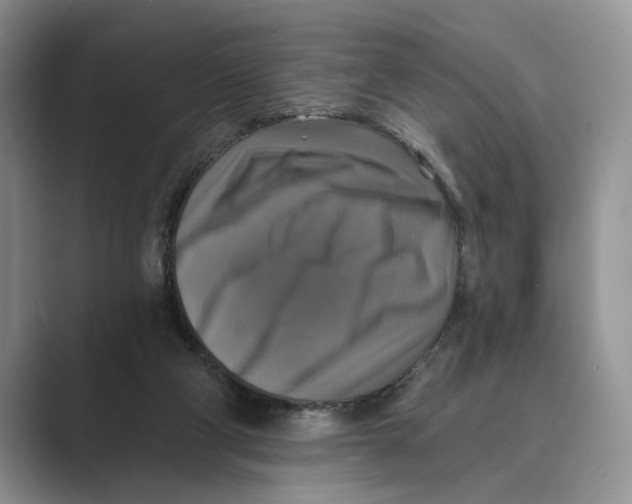 X0000088850114200707061040