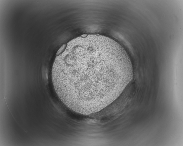 X0000088850115200707061040