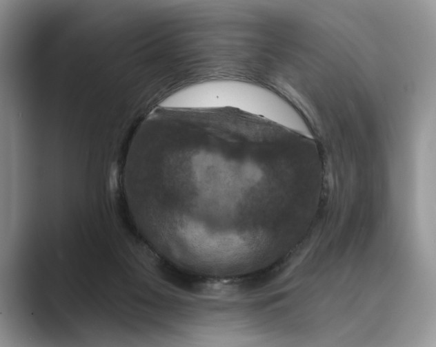X0000088850117200707061040