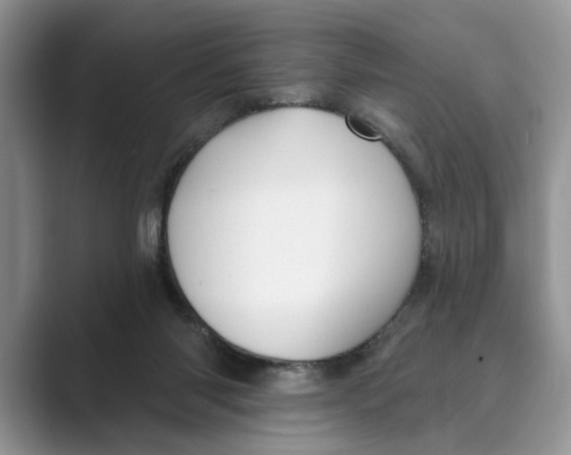 X0000088850118200707061040