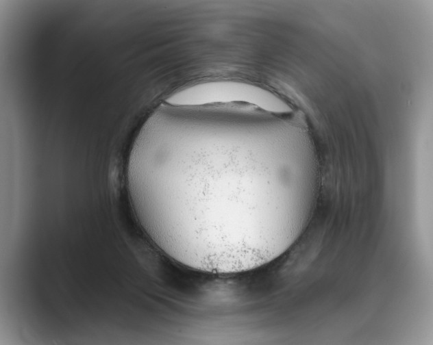 X0000088850119200707061040