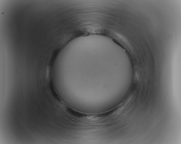 X0000088850121200707061040