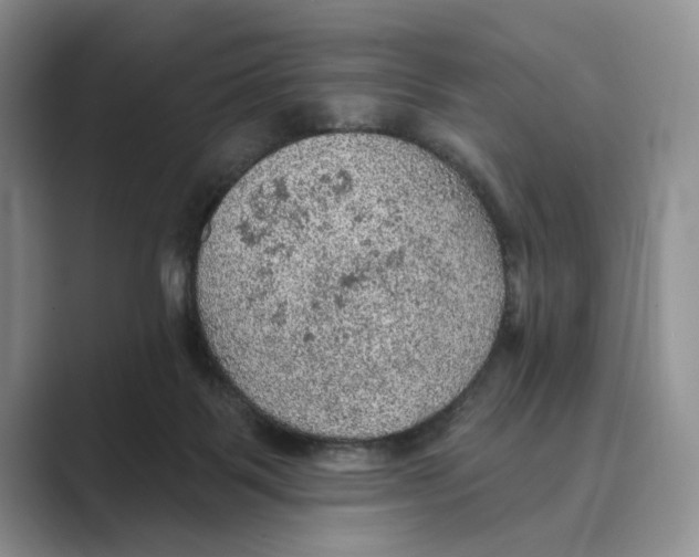 X0000088850123200707061040
