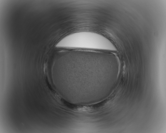 X0000088850125200707061040