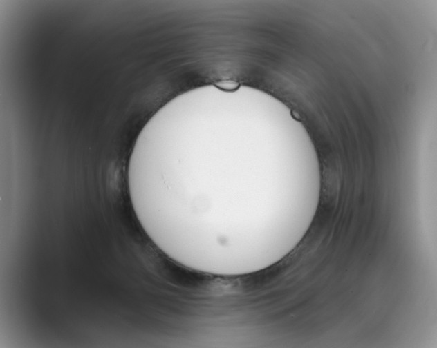 X0000088850126200707061040