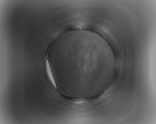 X0000088850127200707061040