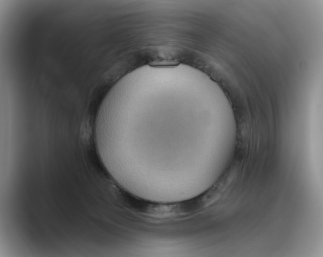 X0000088850129200707061040
