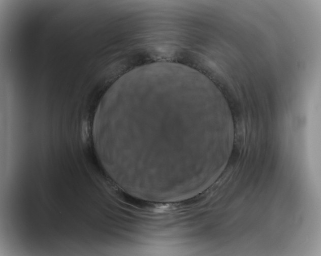X0000088850130200707061040