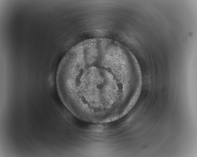 X0000088850131200707061040