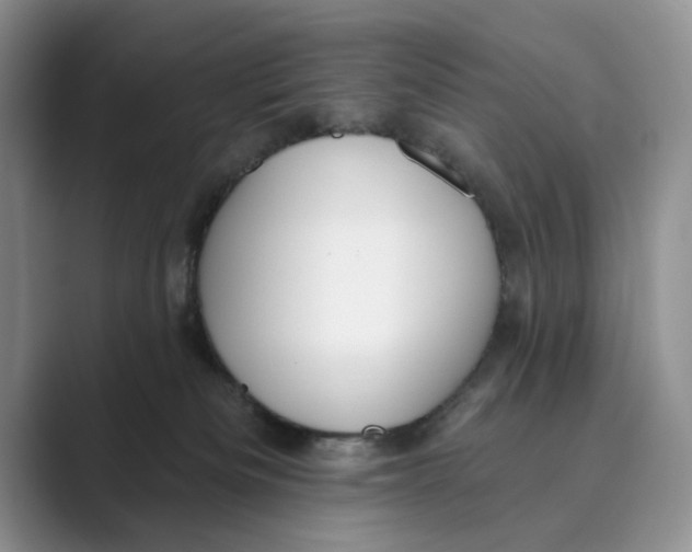 X0000088850133200707061040