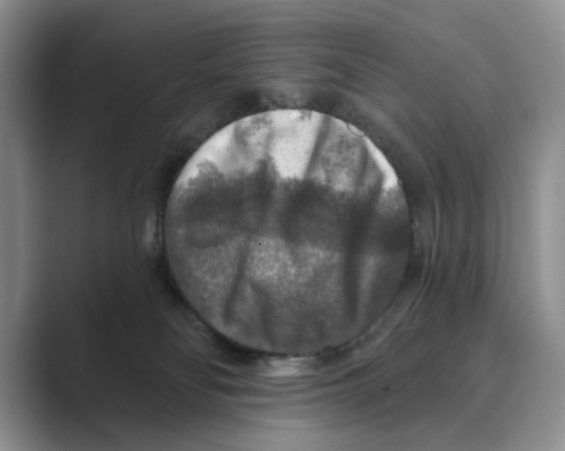 X0000088850134200707061040