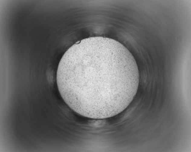 X0000088850135200707061040