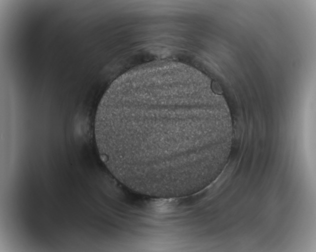 X0000088850136200707061040