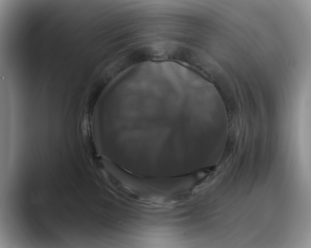 X0000088850137200707061040