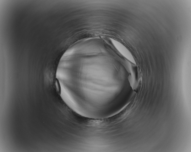 X0000088850139200707061039