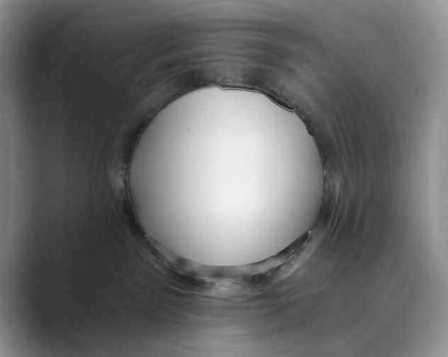 X0000088850141200707061039