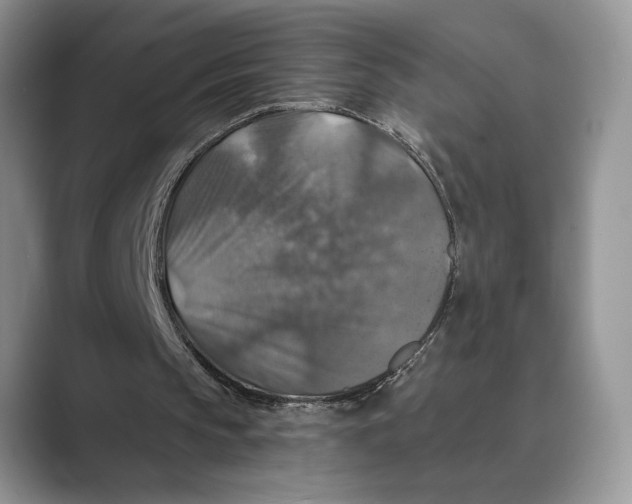 X0000088850145200707061039