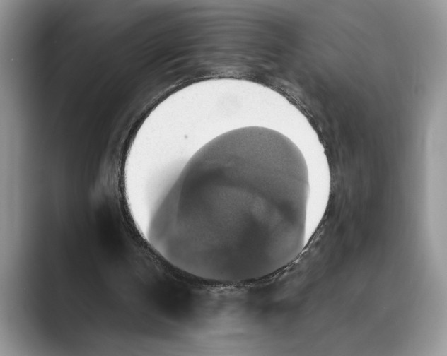 X0000088850146200707061039