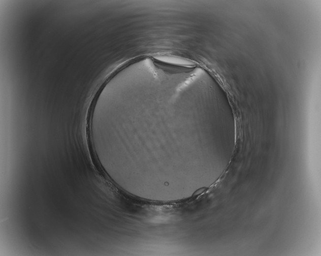 X0000088850147200707061039