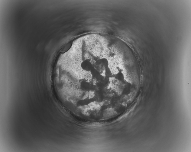 X0000088850149200707061039