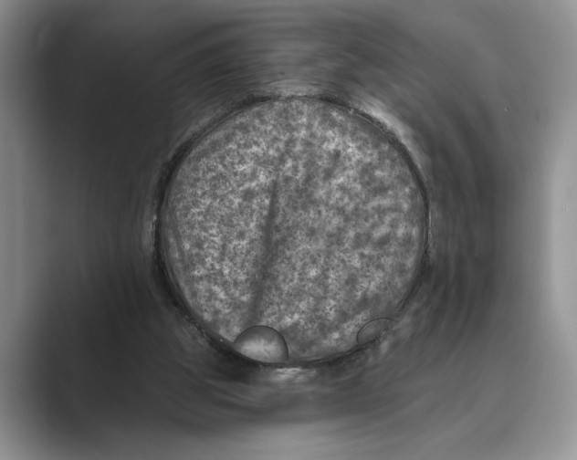 X0000088850153200707061039