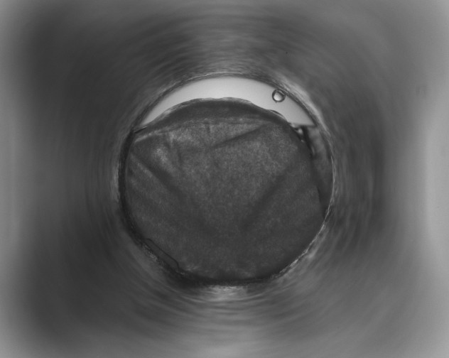 X0000088850154200707061039