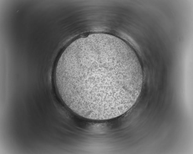 X0000088850155200707061039