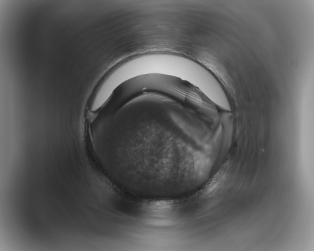 X0000088850156200707061039