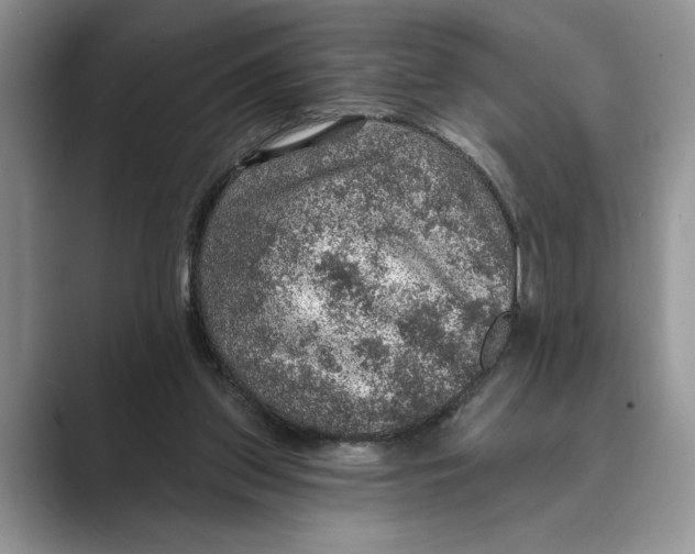 X0000088850157200707061039