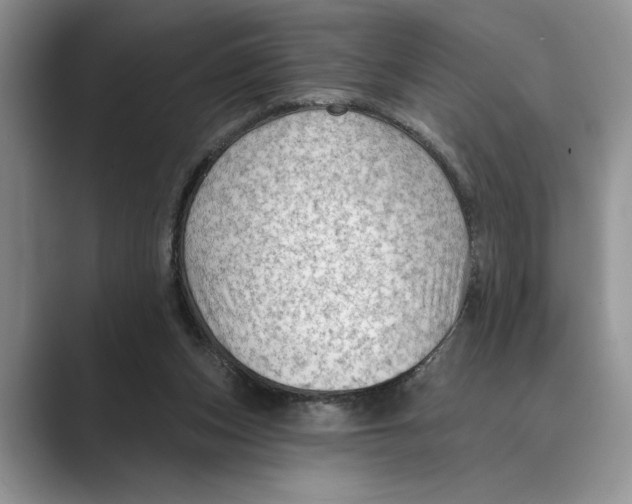 X0000088850159200707061039