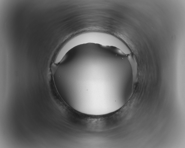 X0000088850160200707061039