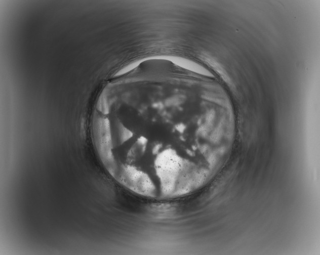 X0000088850161200707061039