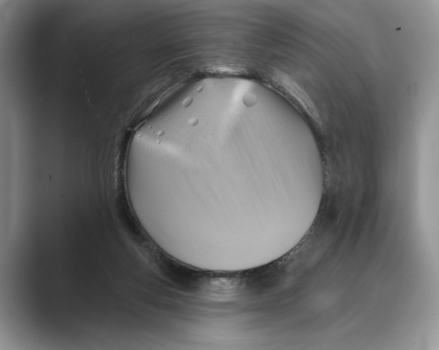 X0000088850163200707061039