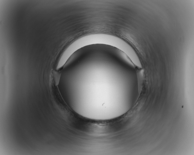 X0000088850164200707061039