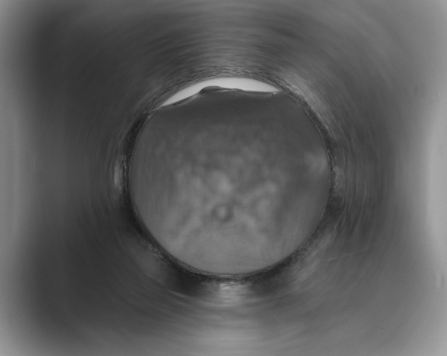 X0000088850165200707061039